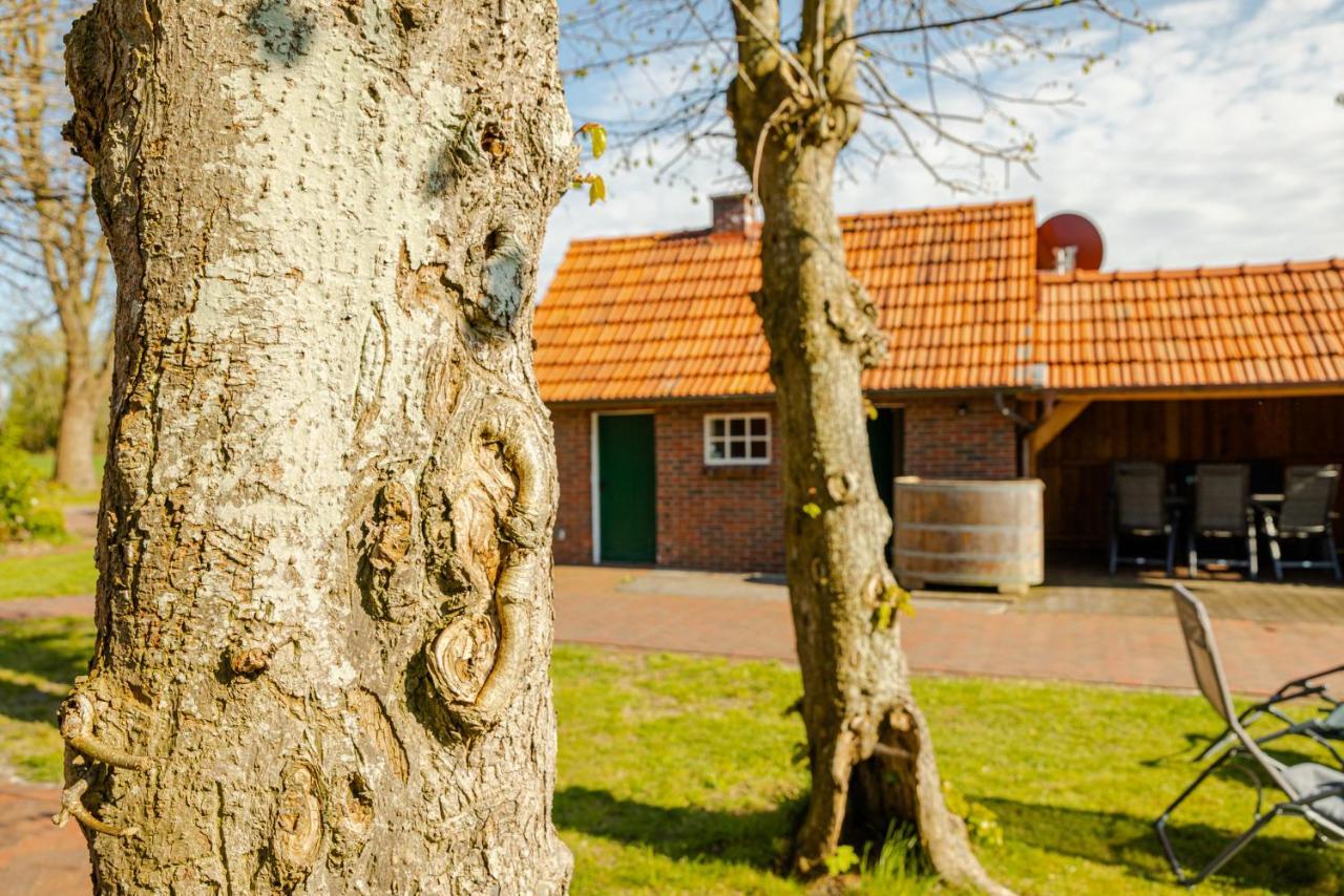 Reetdach Ostfriesenhaus Villa Südbrookmerland Eksteriør billede